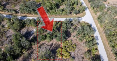 Beach Lot For Sale in Port Charlotte, Florida