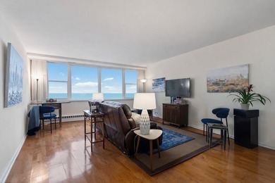 Beach Condo For Sale in Chicago, Illinois