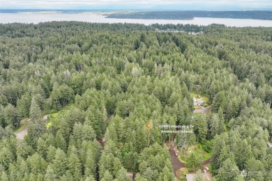 Beach Lot For Sale in Anderson Island, Washington