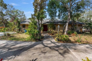 Beach Home For Sale in New Smyrna Beach, Florida