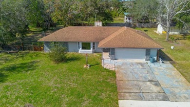 Beach Home For Sale in New Smyrna Beach, Florida