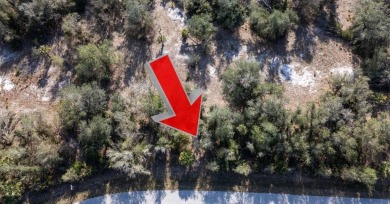 Beach Lot For Sale in Port Charlotte, Florida