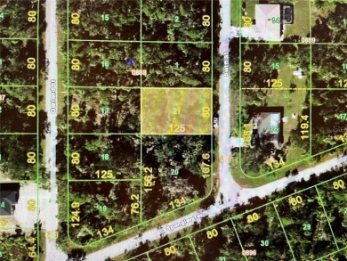 Beach Lot For Sale in Port Charlotte, Florida