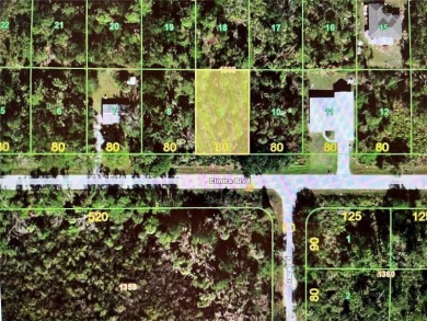 Beach Lot For Sale in Punta Gorda, Florida
