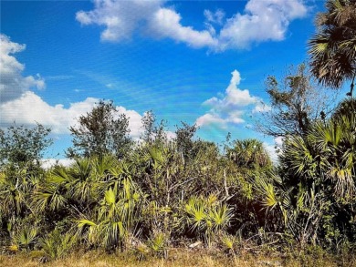 Beach Lot For Sale in Port Charlotte, Florida