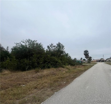 Beach Lot For Sale in Port Charlotte, Florida