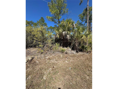 Beach Lot For Sale in North Port, Florida