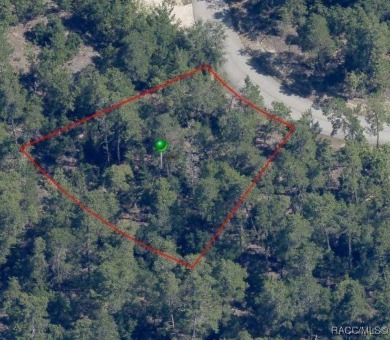 Beach Lot For Sale in Homosassa, Florida