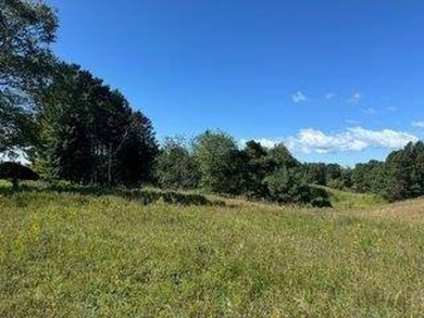 Beach Lot For Sale in Harbor Springs, Michigan