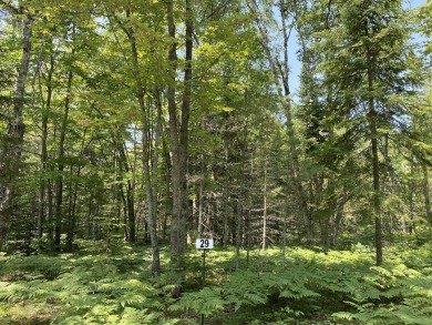 Beach Lot For Sale in Paradise, Michigan