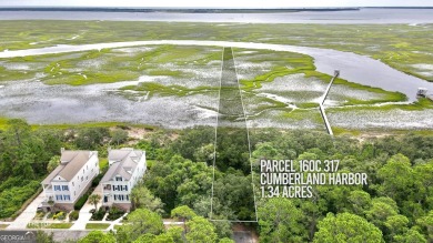Beach Lot For Sale in Saint Marys, Georgia