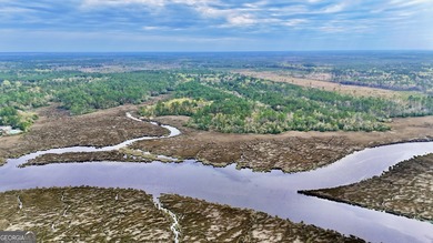 Beach Acreage For Sale in Waverly, Georgia
