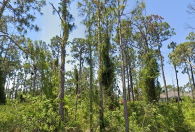 Beach Lot For Sale in Port Charlotte, Florida