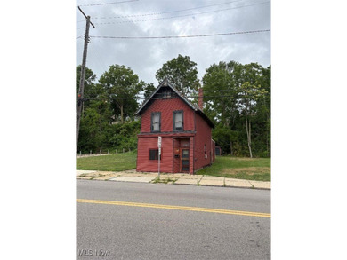 Beach Home For Sale in Ashtabula, Ohio