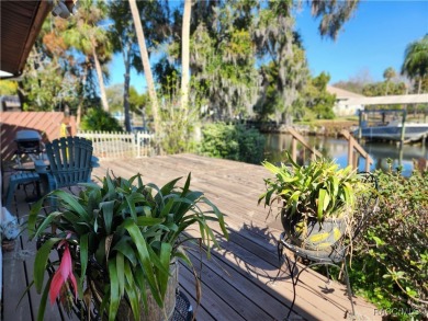 Beach Home For Sale in Homosassa, Florida
