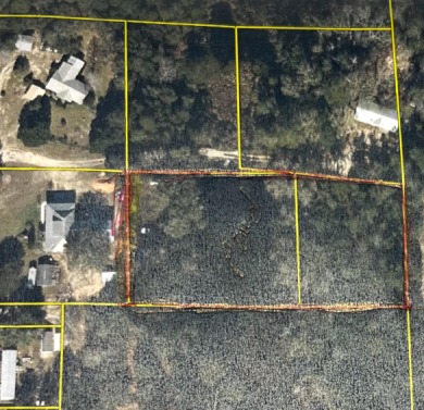 Beach Lot For Sale in Freeport, Florida