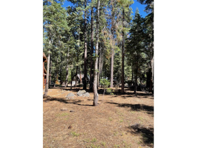 Beach Lot For Sale in Tahoma, California