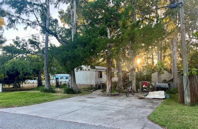 Beach Home For Sale in Weeki Wachee, Florida