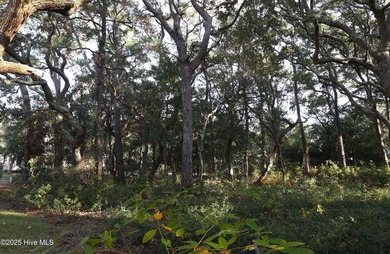 Beach Lot For Sale in Oak Island, North Carolina