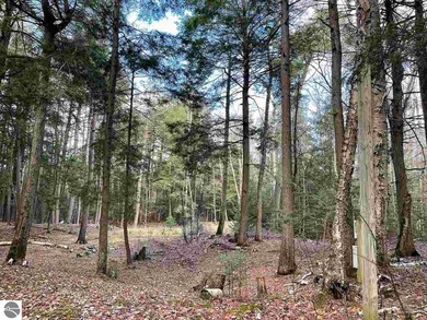 Beach Acreage For Sale in Beaver Island, Michigan