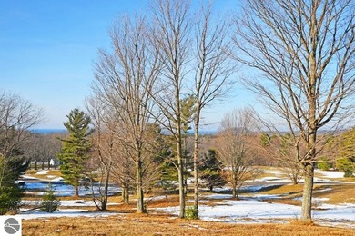Beach Lot For Sale in Empire, Michigan