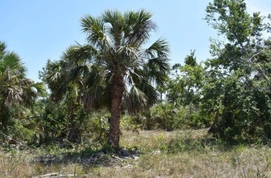 Beach Lot For Sale in Port Charlotte, Florida