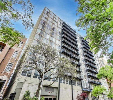 Beach Condo For Sale in Chicago, Illinois