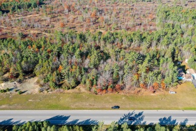 Beach Lot For Sale in Manistique, Michigan