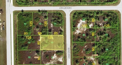 Beach Lot For Sale in Port Charlotte, Florida