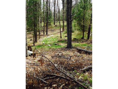 Beach Acreage For Sale in Brunswick, Maine