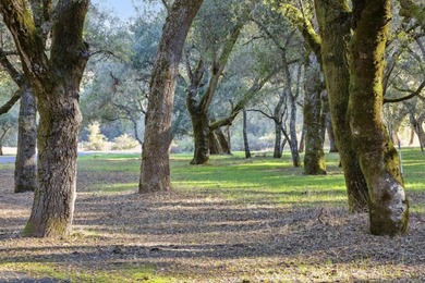 Beach Acreage For Sale in Carmel Valley, California