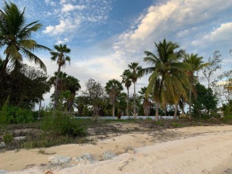 Beach Acreage Off Market in Long Island, Bahamas