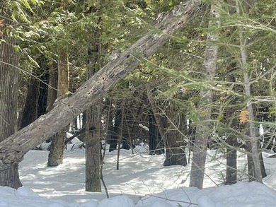 Beach Acreage For Sale in Bois Blanc Island, Michigan