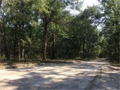 Beach Acreage Active Under Contract in Woodbine, Georgia
