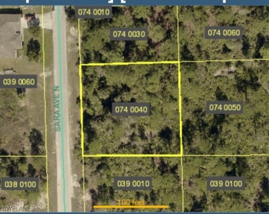 Beach Lot For Sale in Lehigh Acres, Florida