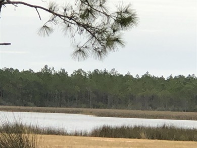 Beach Acreage Off Market in Milton, Florida