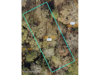 Beach Lot For Sale in Supply, North Carolina