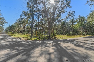 Beach Lot For Sale in Homosassa, Florida