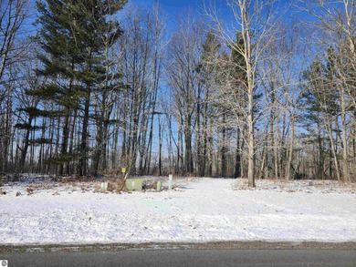 Beach Lot For Sale in Tawas City, Michigan