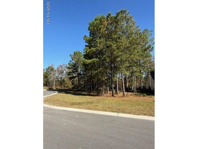 Beach Lot For Sale in Leland, North Carolina