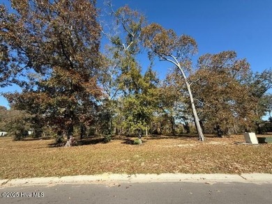 Beach Lot For Sale in Leland, North Carolina