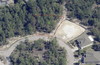 Beach Lot For Sale in Homosassa, Florida