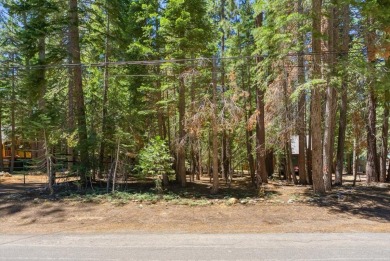 Beach Lot For Sale in Tahoma, California