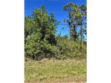 Beach Lot For Sale in Port Charlotte, Florida