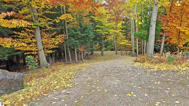 Beach Acreage For Sale in Onekama, Michigan