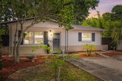 Beach Home For Sale in St. Petersburg, Florida