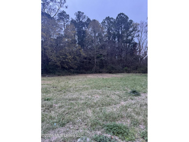 Beach Lot For Sale in Gulfport, Mississippi