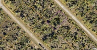 Beach Lot For Sale in North Port, Florida