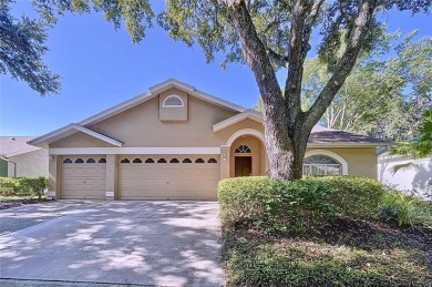 Beach Home For Sale in Tampa, Florida