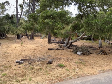 Beach Lot For Sale in Cambria, California